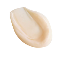 MAGIC NIGHT CREAM - 50 ML