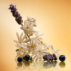 STAR CONFIDENCE - 10 ML FRAGRANCE